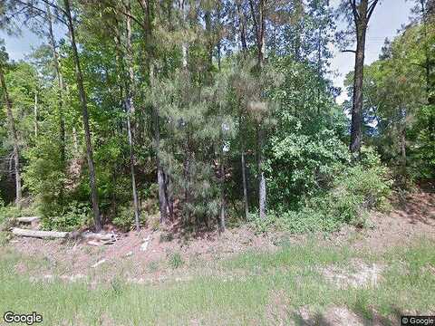 Highway 35, MOUNT OLIVE, MS 39119