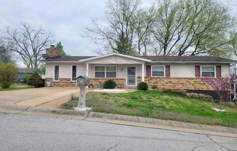 Heather, CRYSTAL CITY, MO 63019