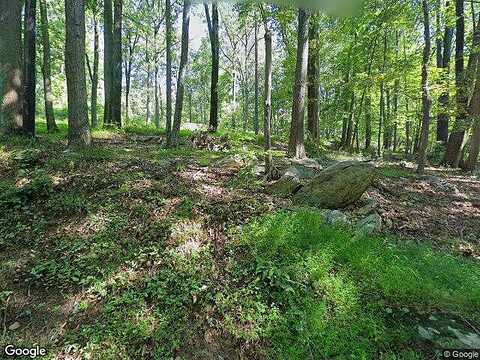 Cold Springs, CALIFON, NJ 07830