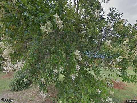 Rose, CHILDERSBURG, AL 35044
