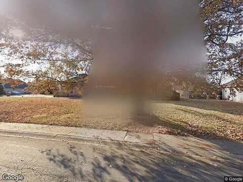 Silver Top, RAYMORE, MO 64083