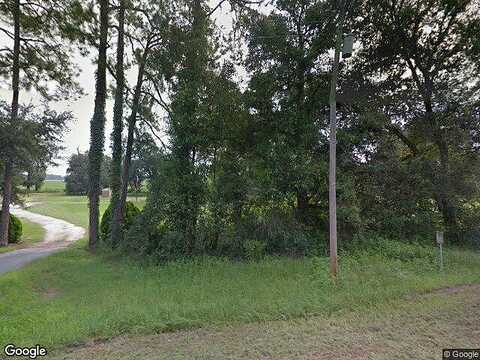 Bethel, BRINSON, GA 39825