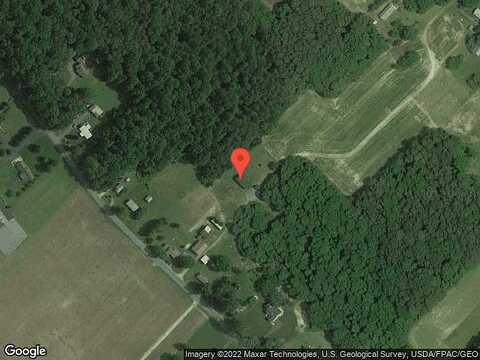 Sylvia, MILLSBORO, DE 19966