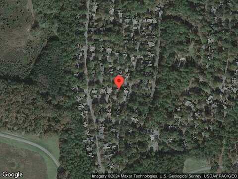 Birch, PINE MOUNTAIN, GA 31822