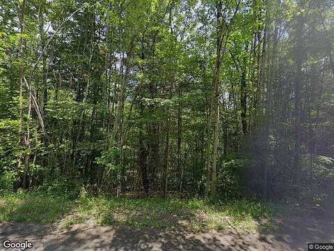 Dog Hill, MARYLAND, NY 12116