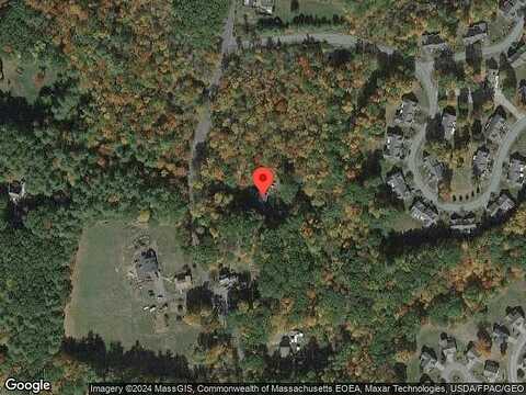 Willow, EAST KINGSTON, NH 03827
