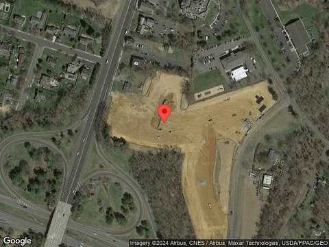 Tulip, MARLBORO, NJ 07746