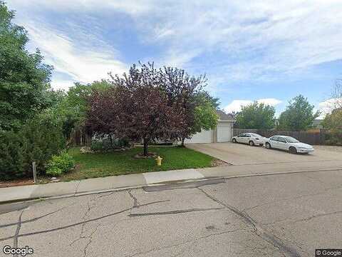 Mammoth, WELLINGTON, CO 80549