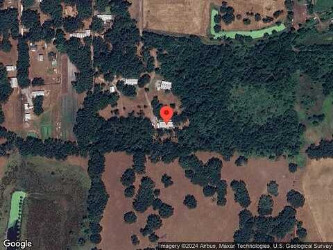 Princess Anne, PLANT CITY, FL 33565