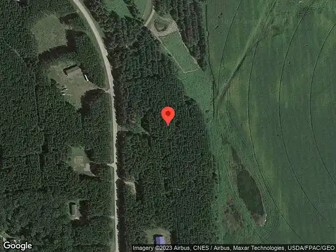 Staghorn, FORT RIPLEY, MN 56449