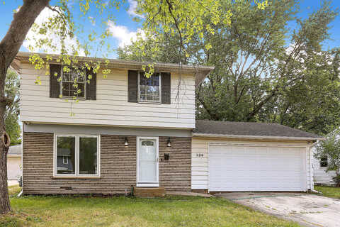 Rose, GLENWOOD, IL 60425