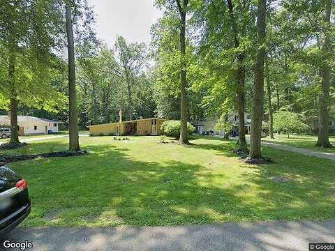 Sandy, AVON, OH 44011