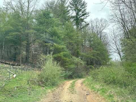 Bear Cage, ROAN MOUNTAIN, TN 37687