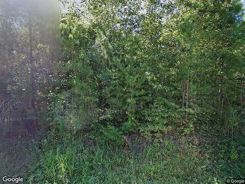 Rock Island, SCOTTSVILLE, VA 24590
