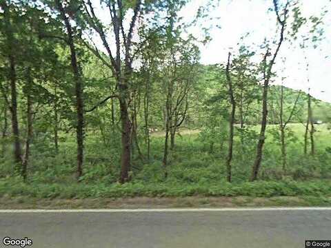 Alleghany Spring, SHAWSVILLE, VA 24162