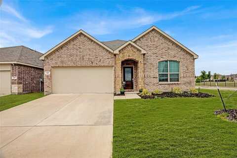231 Olmstead Drive, Princeton, TX 75407