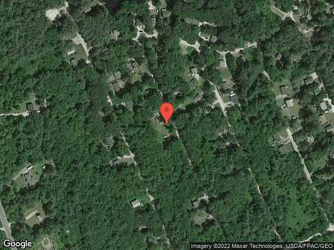 Raccoon, HILLSBOROUGH, NH 03244