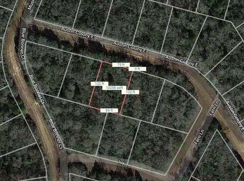Lot 3 E Austin Colony, Normangee, TX 77871