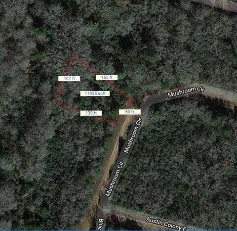 Lot 10 Mushroom Circle, Normangee, TX 77871