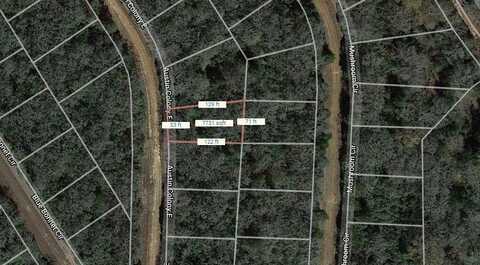 Lot 29 E Austin Colony, Normangee, TX 77871