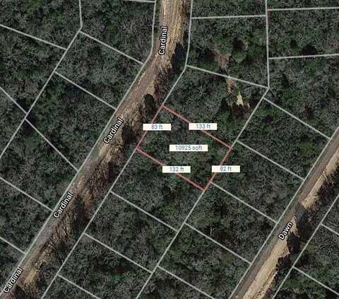 Lot 4 Cardinal, Normangee, TX 77871