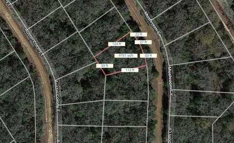 Lot 26 Mushroom Circle, Normangee, TX 77871