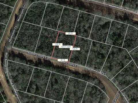 Lot 51 E Austin Colony, Normangee, TX 77871