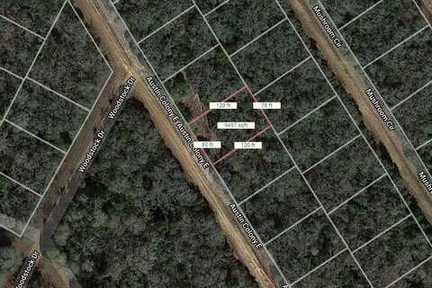 Lot 40 E Austin Colony, Normangee, TX 77871