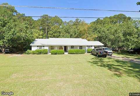 Plum, HAZLEHURST, GA 31539