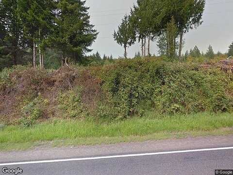 State Route 4, GRAYS RIVER, WA 98621