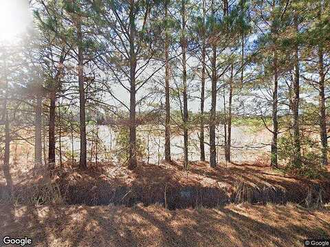 Creek, LAKE CITY, SC 29560