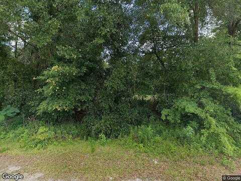 155Th Street, CITRA, FL 32113
