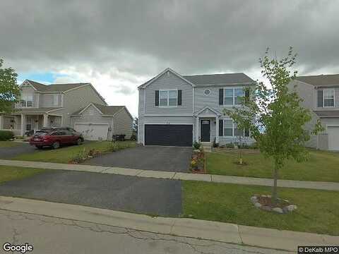 Cardinal, CORTLAND, IL 60112