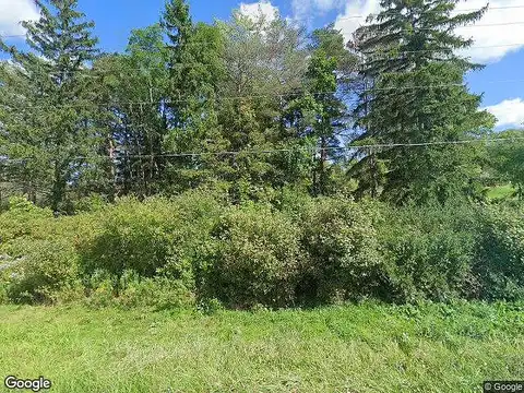 Green, BLOOMFIELD, NY 14469