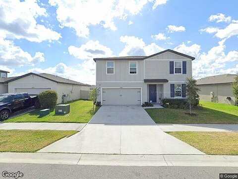 Finn Clover, ZEPHYRHILLS, FL 33540