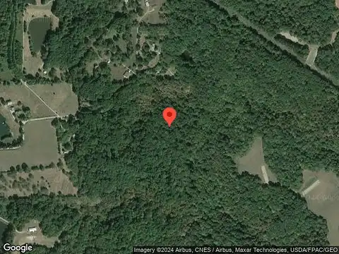 Jungle, MURPHYSBORO, IL 62966