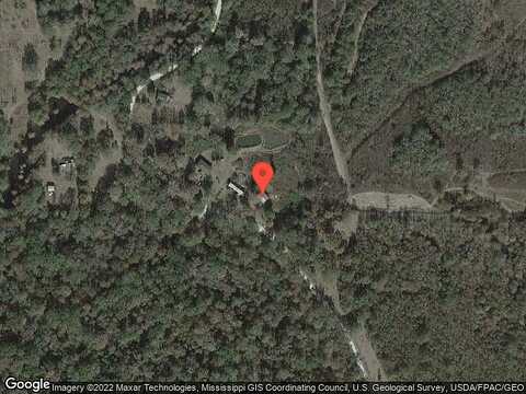 Honey Island Swamp, PEARL RIVER, LA 70452
