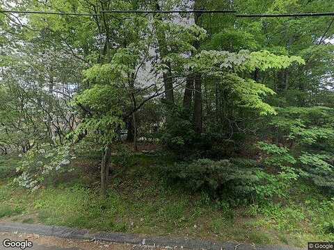Springer, FAIRFIELD, CT 06824