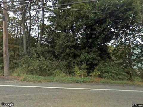 Tulip, SAYLORSBURG, PA 18353