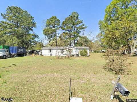 Hummingbird, SPRINGFIELD, GA 31329