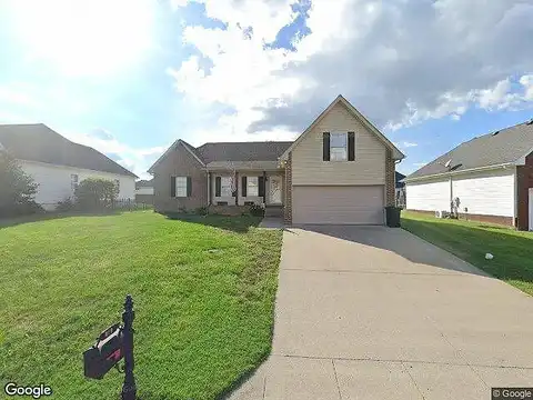 Arabian, SPRINGFIELD, TN 37172
