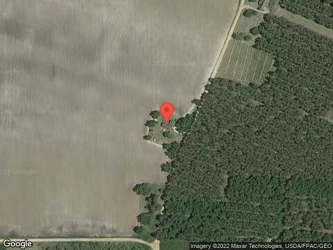 Henderson, BLACKSHEAR, GA 31516