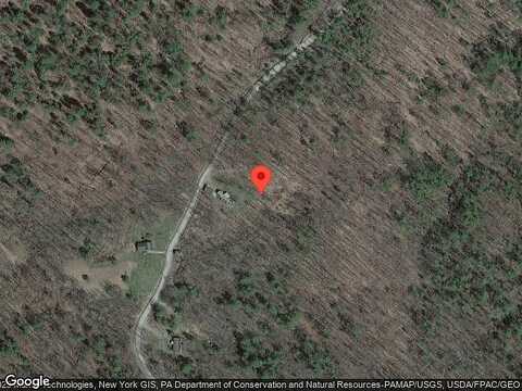 Leasure Hill, NICHOLS, NY 13812