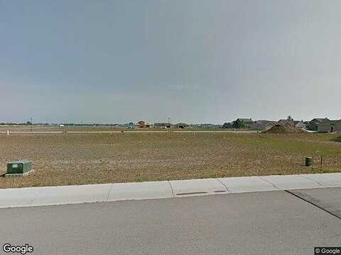 White Deer, WELLINGTON, CO 80549