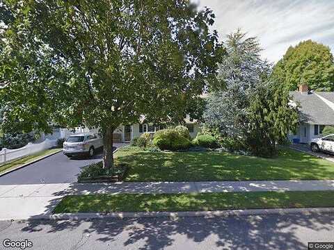 Pinecone, WESTBURY, NY 11590