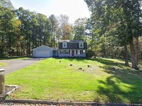 Sandy, TOLLAND, CT 06084