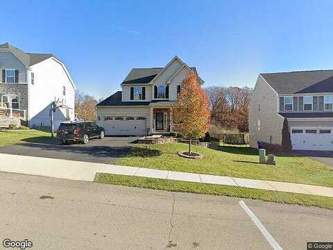 Isabella, ZELIENOPLE, PA 16063