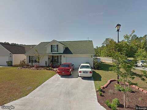 Shrek, FLORENCE, SC 29505