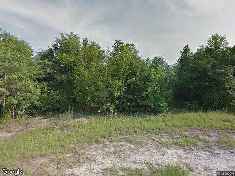 Forest, HEPHZIBAH, GA 30815