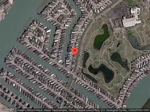 Cockle, PORT ISABEL, TX 78578
